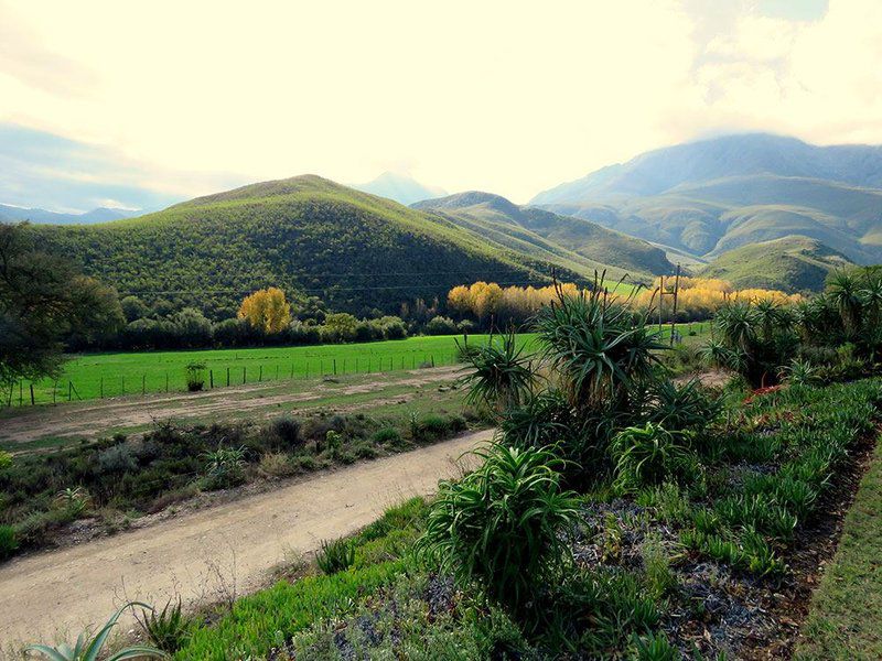 Oudemuragie Guest Farm Oudtshoorn Western Cape South Africa Field, Nature, Agriculture, Mountain, Highland