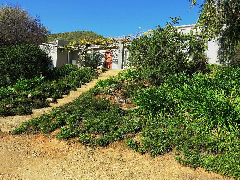 Oudemuragie Guest Farm Oudtshoorn Western Cape South Africa House, Building, Architecture, Palm Tree, Plant, Nature, Wood, Garden