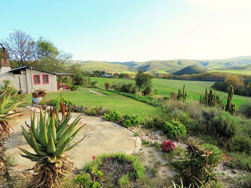 Oudemuragie Guest Farm Oudtshoorn Western Cape South Africa Garden, Nature, Plant