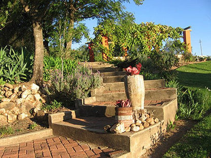 Oudemuragie Guest Farm Oudtshoorn Western Cape South Africa Plant, Nature, Garden