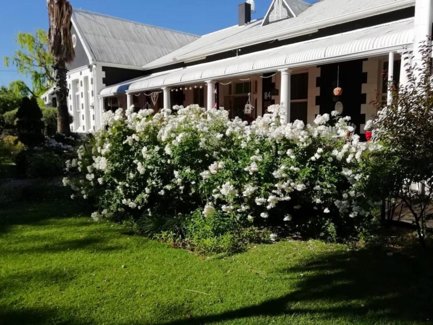 Oude Pastorie Gastehuis Cradock Eastern Cape South Africa House, Building, Architecture, Plant, Nature