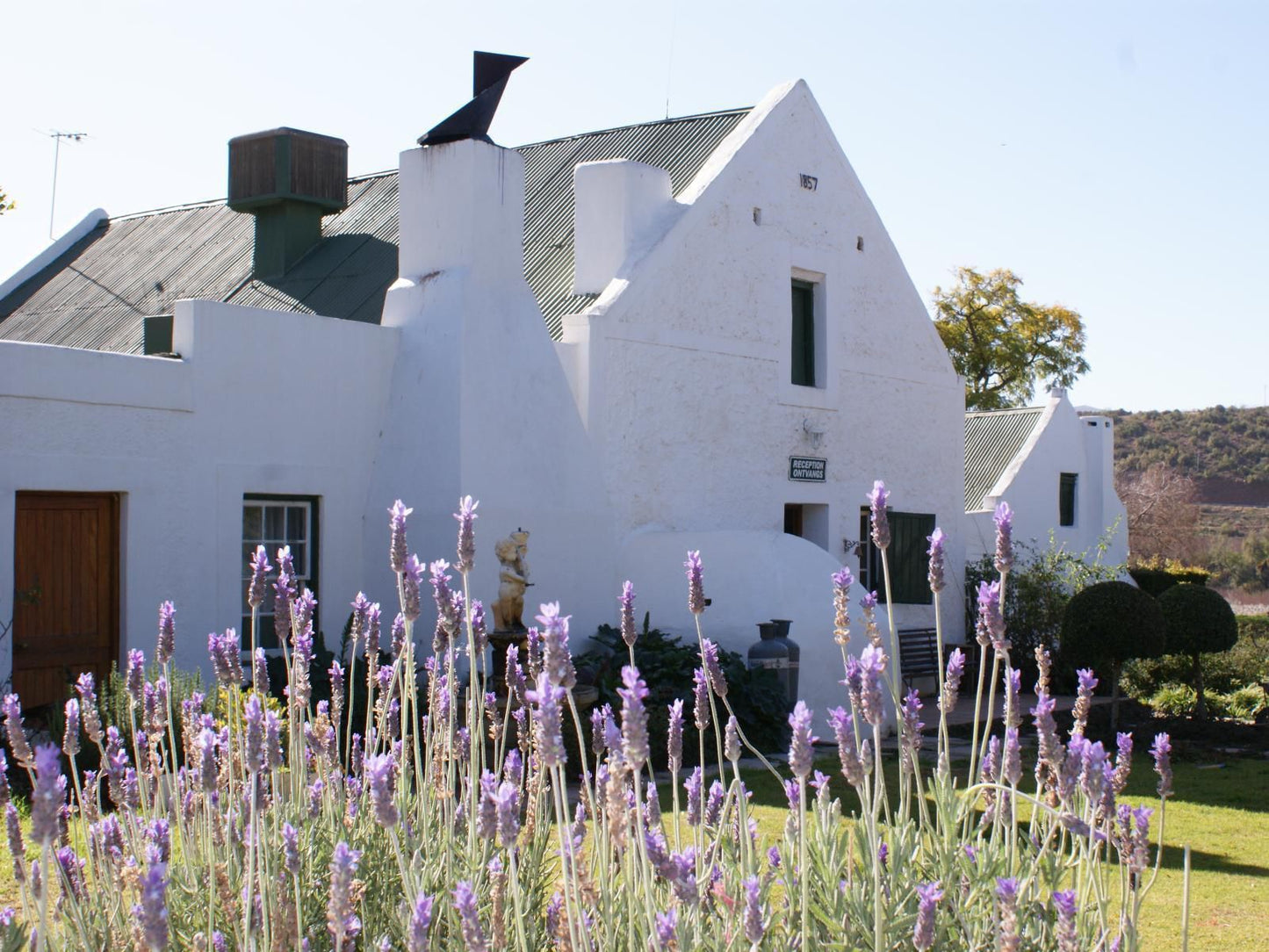 Oue Werf Country House Oudtshoorn Western Cape South Africa Building, Architecture, House, Garden, Nature, Plant