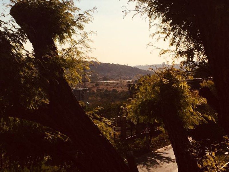 Ouma Saartjie Cottage Monument Park Pretoria Tshwane Gauteng South Africa Colorful, Nature