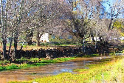 Ouma Jossie Se Huis Op Matjiesfontein Guest Farm Sutherland Northern Cape South Africa River, Nature, Waters