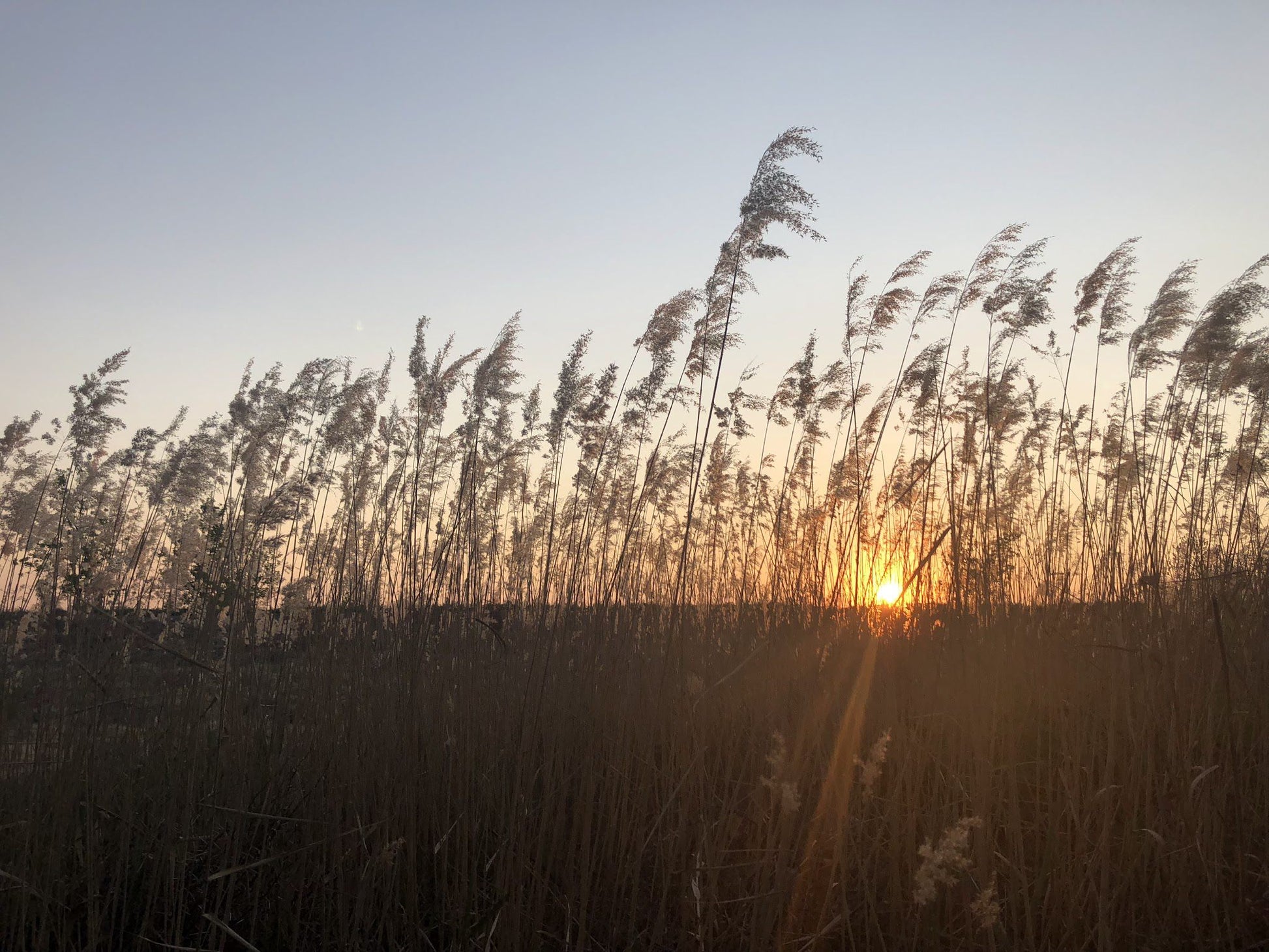 Ouma Se Huis Grootdrink Northern Cape South Africa Field, Nature, Agriculture, Lowland, Sunset, Sky