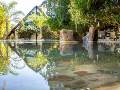 Out Of Africa Town Lodge, Palm Tree, Plant, Nature, Wood, Garden, Swimming Pool