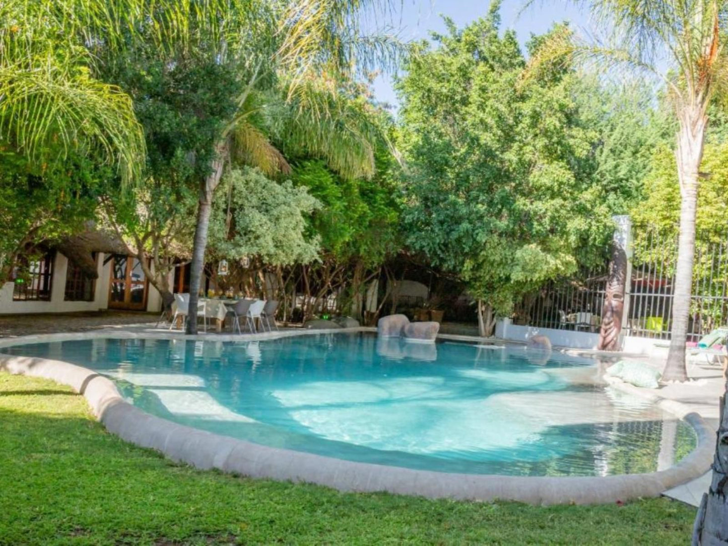 Out Of Africa Town Lodge, Palm Tree, Plant, Nature, Wood, Garden, Swimming Pool