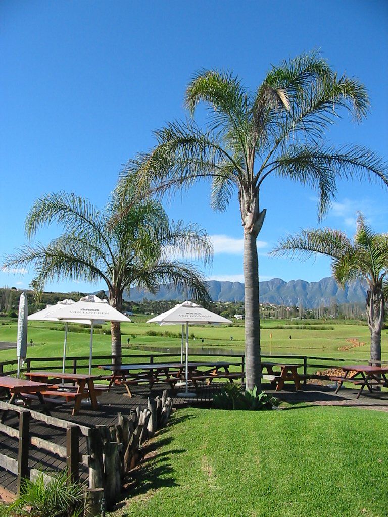 Outdoor Arena Bonnievale Western Cape South Africa Complementary Colors, Palm Tree, Plant, Nature, Wood, Bar