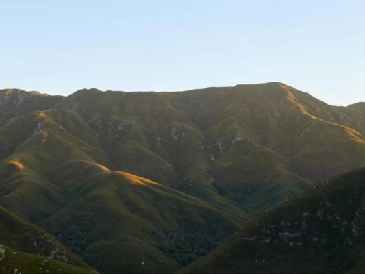 Outeniqua Inn Heatherlands George Western Cape South Africa Mountain, Nature, Highland