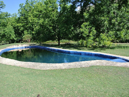 Outeniqua Mountain Lodge Die Vlug Western Cape South Africa Swimming Pool