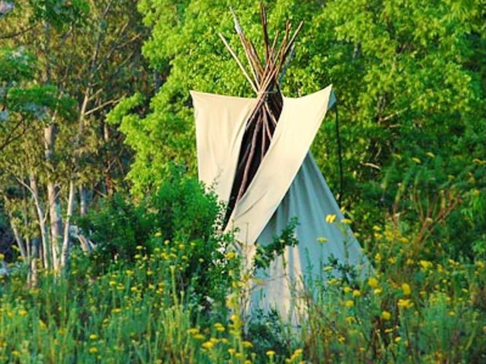 Outeniqua Mountain Lodge Die Vlug Western Cape South Africa Colorful, Plant, Nature