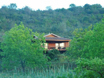 Hoopoe - Lodge @ Outeniqua Mountain Lodge