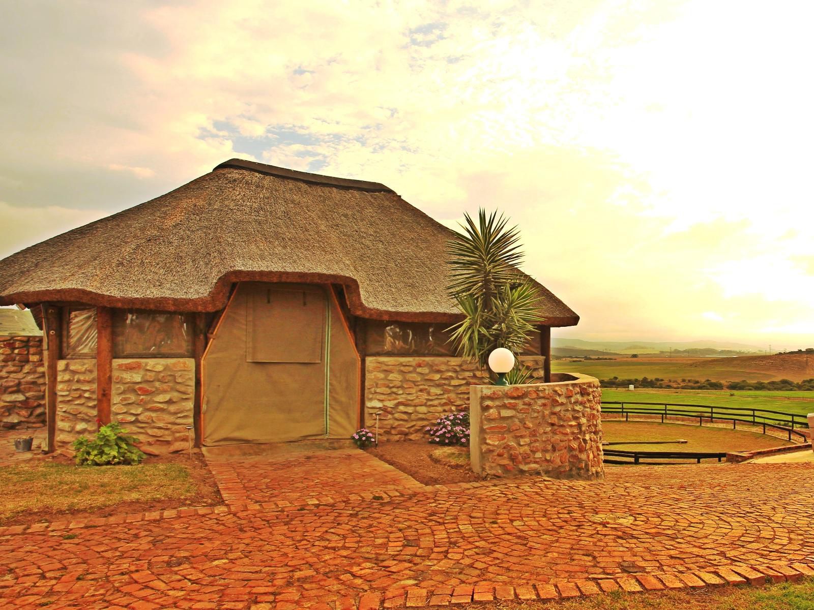 Outeniquabosch Lodge Hartenbos Western Cape South Africa Sepia Tones