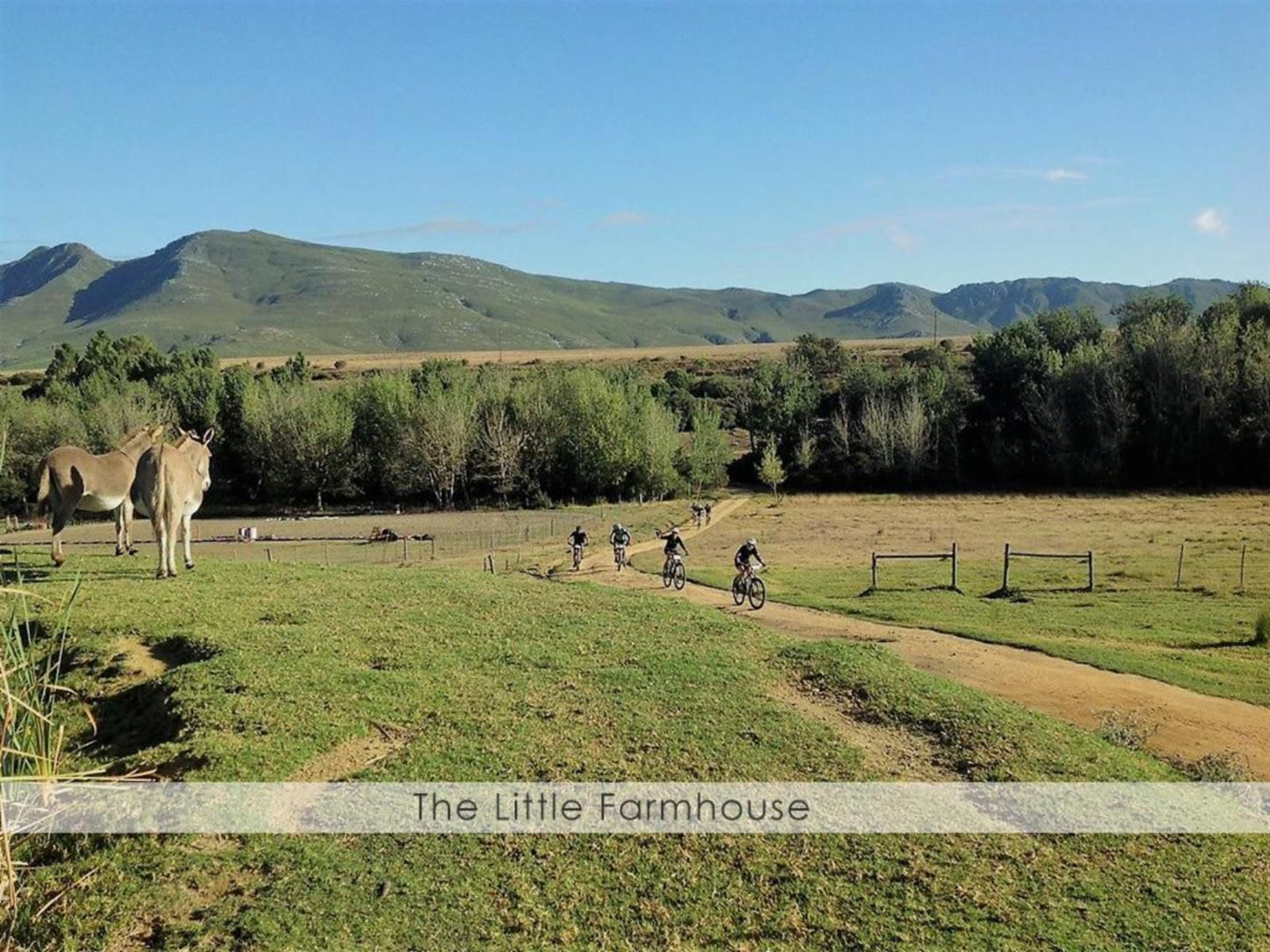 Overberg Gems, Highland, Nature