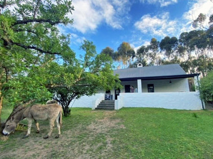 Overberg Gems, The Little Farmhouse