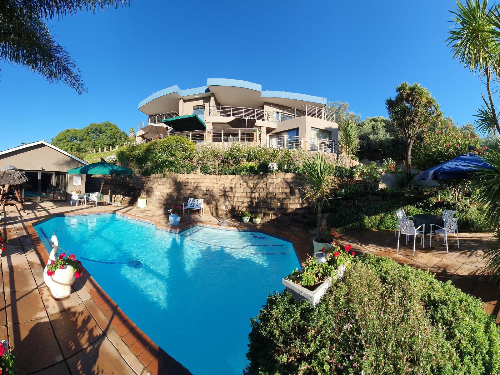 Over The Moon Guesthouse Northcliff Johannesburg Gauteng South Africa Complementary Colors, Palm Tree, Plant, Nature, Wood, Swimming Pool