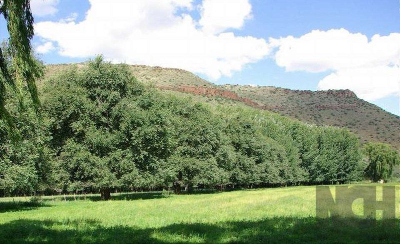 The Owl Nest House Die Uilnes Huis Nieu Bethesda Eastern Cape South Africa Tree, Plant, Nature, Wood