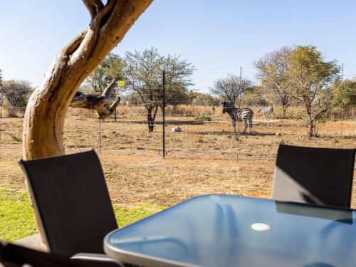 Owl Spot Dinokeng Game Reserve Gauteng South Africa Complementary Colors, Lowland, Nature