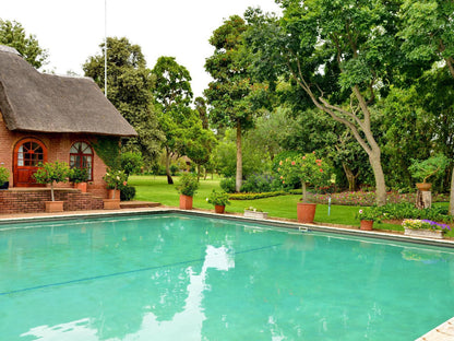 Owls Loft Guest House Midrand Johannesburg Gauteng South Africa House, Building, Architecture, Garden, Nature, Plant, Swimming Pool