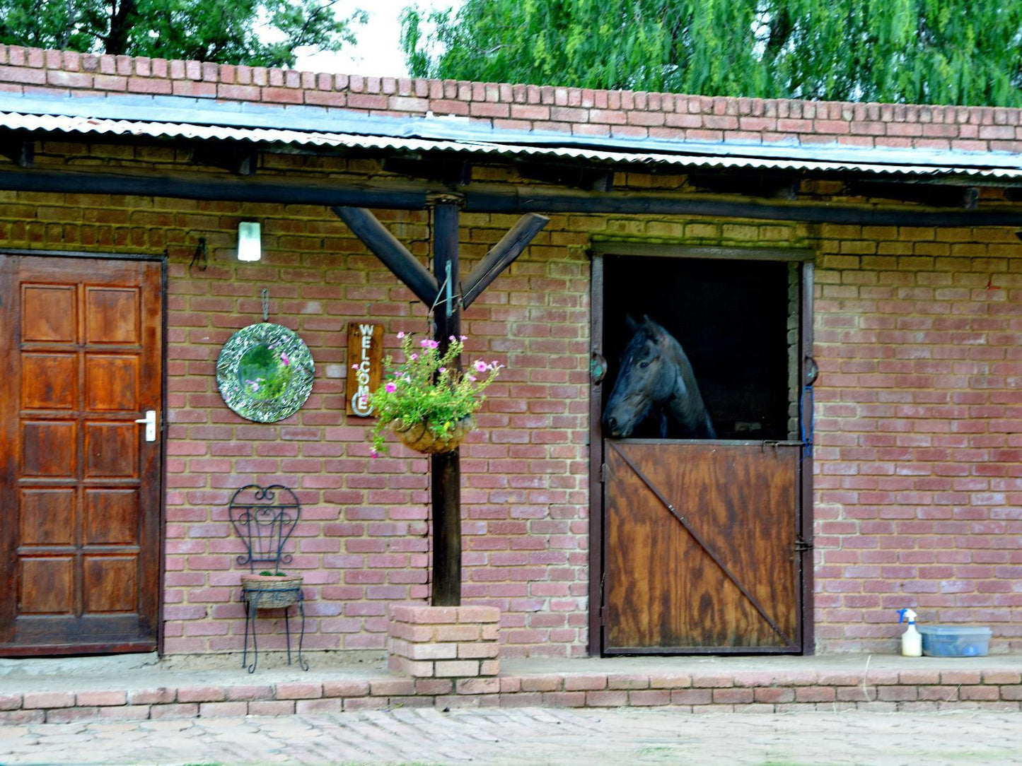 Owls Loft Guest House Midrand Johannesburg Gauteng South Africa Horse, Mammal, Animal, Herbivore