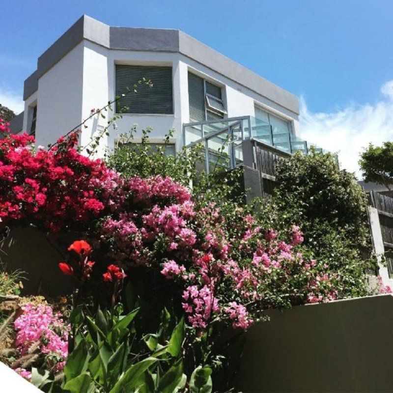 Owls View Holiday House Fish Hoek Cape Town Western Cape South Africa Balcony, Architecture, House, Building, Plant, Nature, Garden