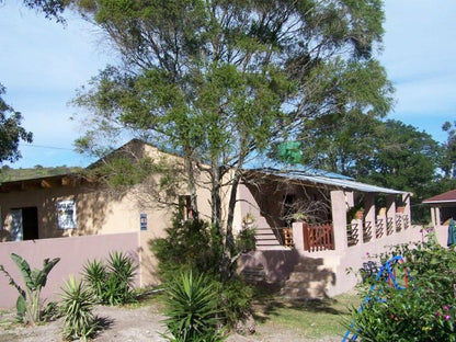 Owl S Nest Bandb Thornhill Port Elizabeth Eastern Cape South Africa Complementary Colors, Building, Architecture, House, Palm Tree, Plant, Nature, Wood