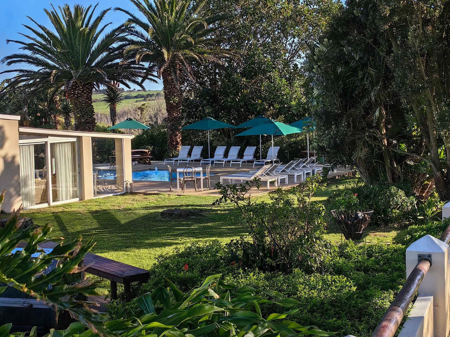 Oyster Bay Lodge Oyster Bay Eastern Cape South Africa House, Building, Architecture, Palm Tree, Plant, Nature, Wood, Garden, Swimming Pool
