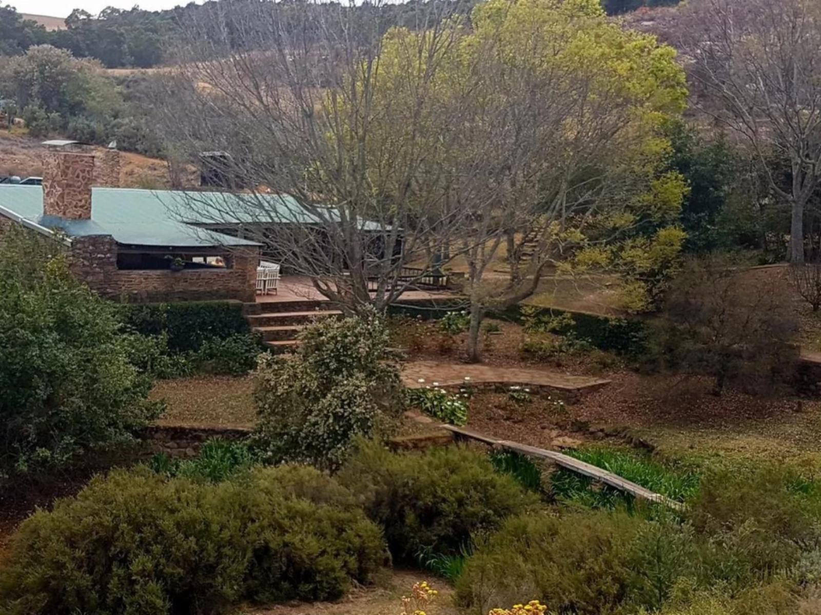 Paardeplaats Nature Retreat Lydenburg Mpumalanga South Africa Garden, Nature, Plant