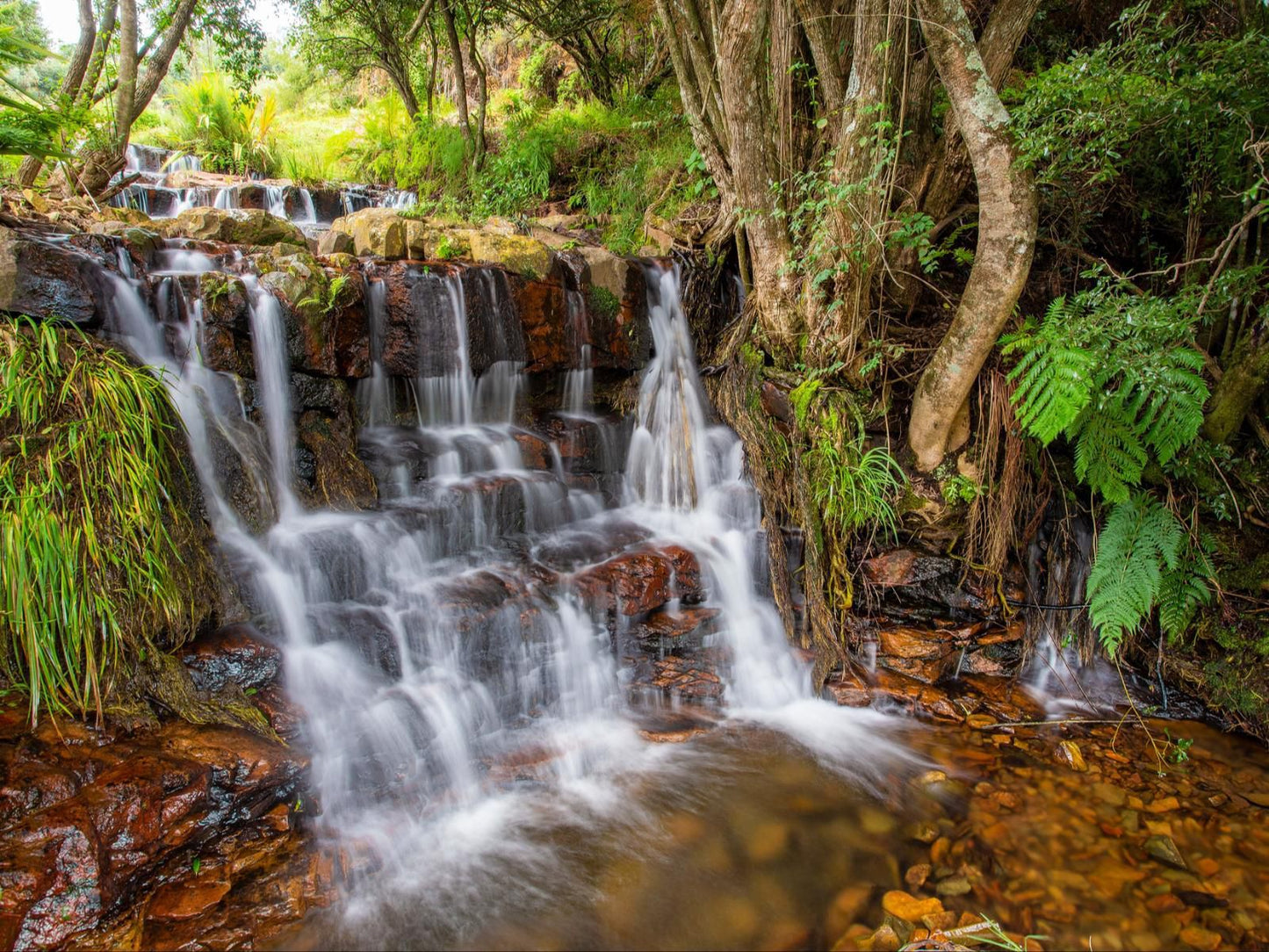 Paardeplaats Nature Retreat Lydenburg Mpumalanga South Africa River, Nature, Waters, Waterfall