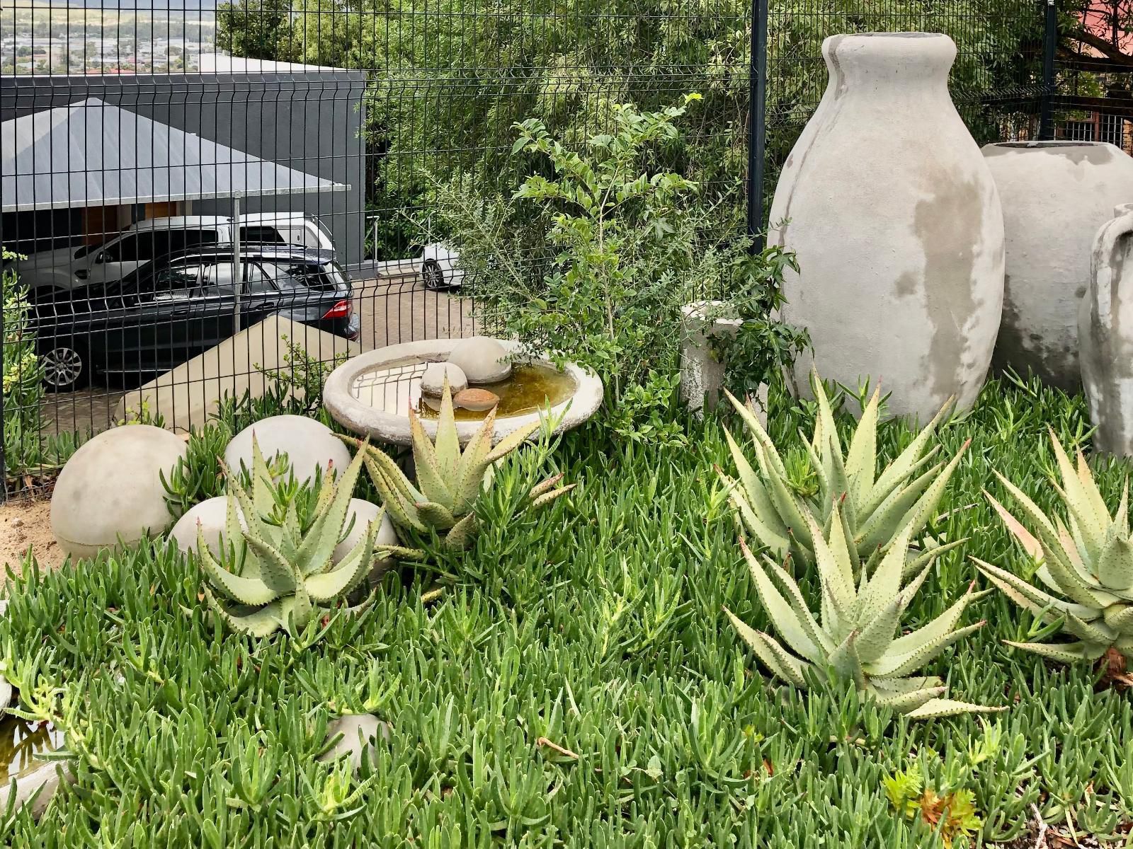 Paarl Views, Plant, Nature, Garden, Car, Vehicle