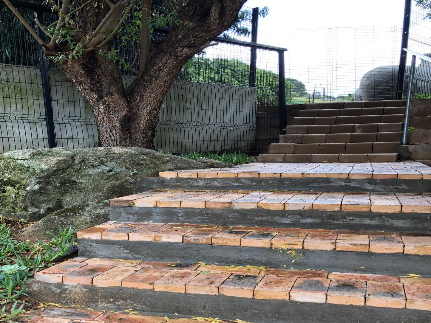 Paarl Views, Stairs, Architecture, Garden, Nature, Plant