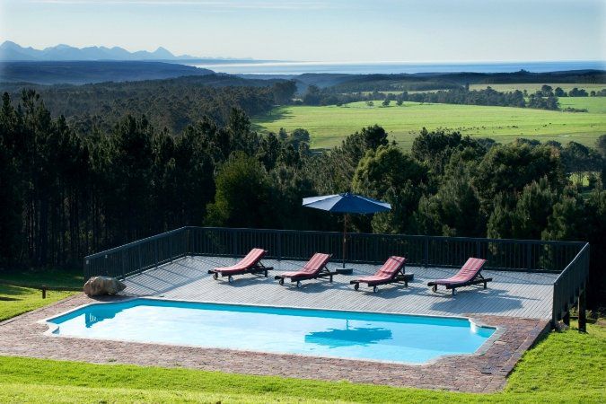 Packwood Wine And Country Estate Harkerville Plettenberg Bay Western Cape South Africa Swimming Pool