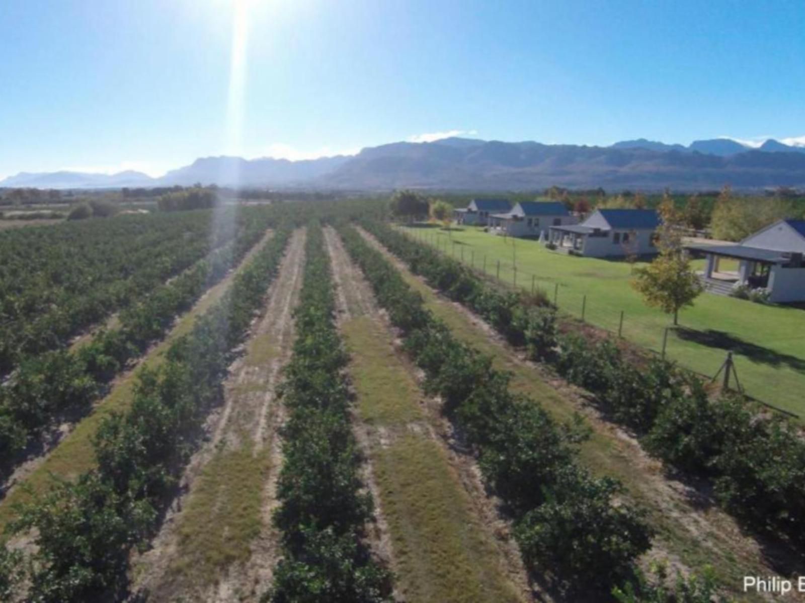 Paddabult Guest Cottages Pniel Western Cape South Africa Field, Nature, Agriculture