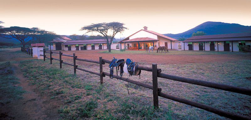 Pakamisa Lodge Pongola Kwazulu Natal South Africa 