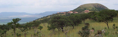 Pakamisa Lodge Pongola Kwazulu Natal South Africa Complementary Colors, Tree, Plant, Nature, Wood