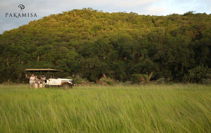 Pakamisa Lodge Pongola Kwazulu Natal South Africa Field, Nature, Agriculture, Vehicle