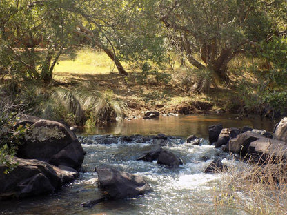 Palala Podica Chalets Vaalwater Limpopo Province South Africa River, Nature, Waters, Tree, Plant, Wood