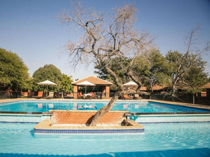 Palanca Thabazimbi Limpopo Province South Africa Complementary Colors, Swimming Pool
