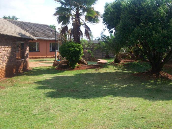 Palesa S Bed And Breakfast Olifantsfontein Johannesburg Gauteng South Africa Palm Tree, Plant, Nature, Wood, Garden