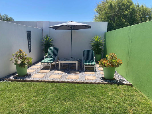 Palm And Pebbles Voorstrand Paternoster Western Cape South Africa Garden, Nature, Plant