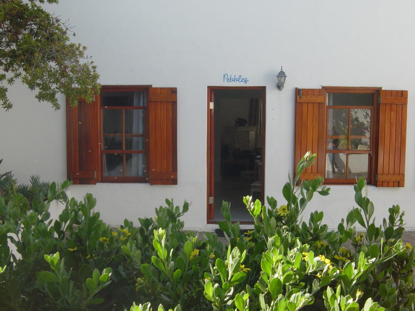 Palm And Pebbles Voorstrand Paternoster Western Cape South Africa Building, Architecture, Door