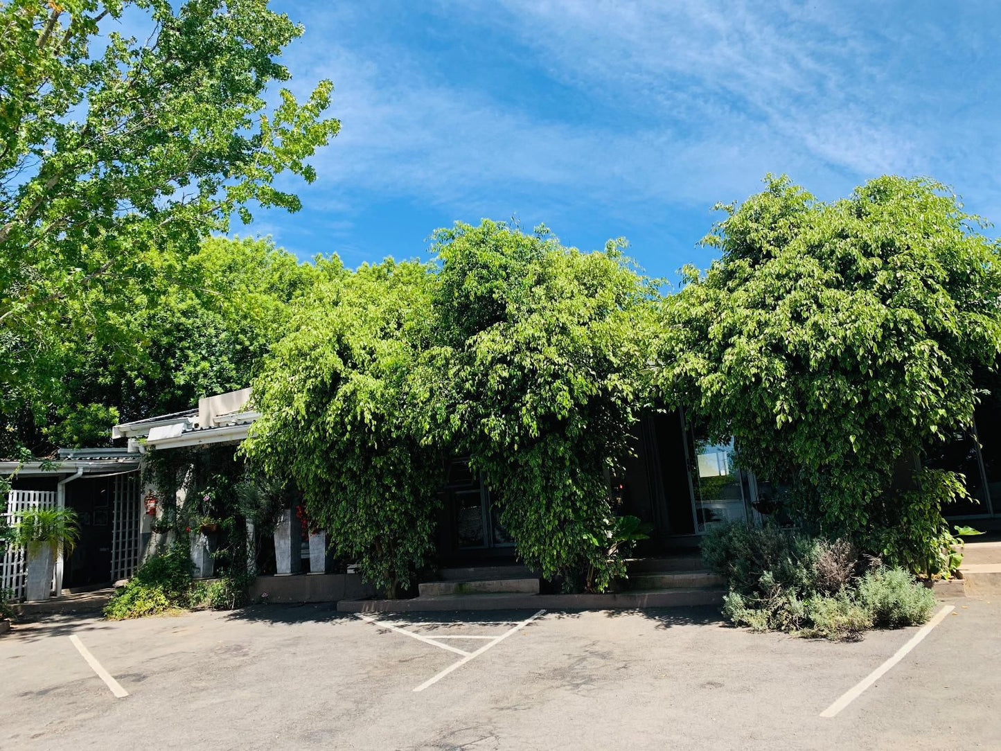 Palm Lodge Mthatha Mthatha Eastern Cape South Africa Complementary Colors, House, Building, Architecture, Plant, Nature, Tree, Wood