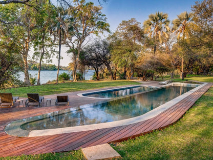 Palm River Hotel, Palm Tree, Plant, Nature, Wood, Swimming Pool