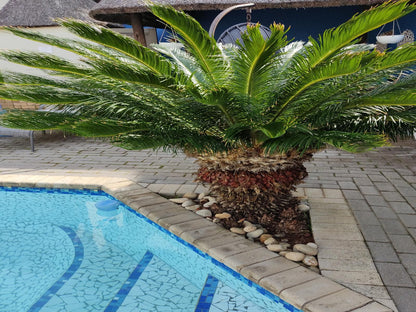 Palm Beach Guesthouse Summerstrand Port Elizabeth Eastern Cape South Africa Complementary Colors, Palm Tree, Plant, Nature, Wood, Garden, Swimming Pool
