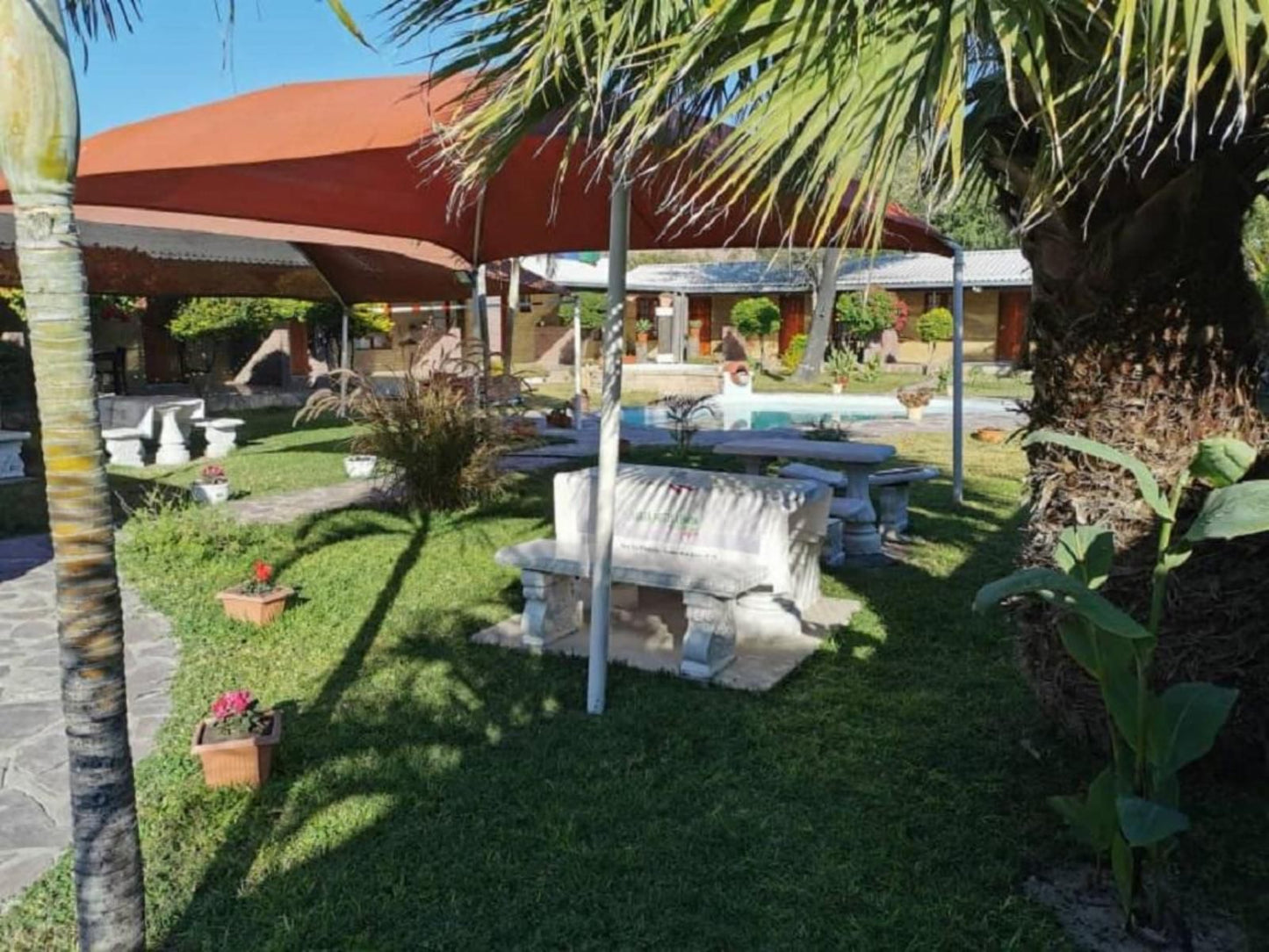 Palmeiras Lodge Oshikango, Palm Tree, Plant, Nature, Wood