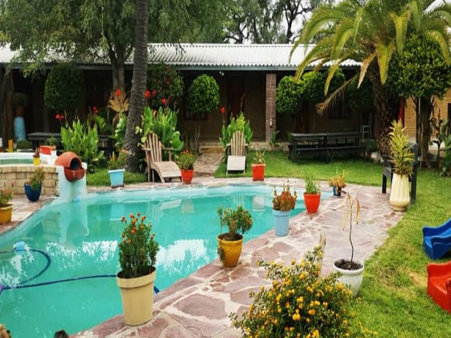 Palmeiras Lodge Oshikango, Plant, Nature, Garden, Swimming Pool