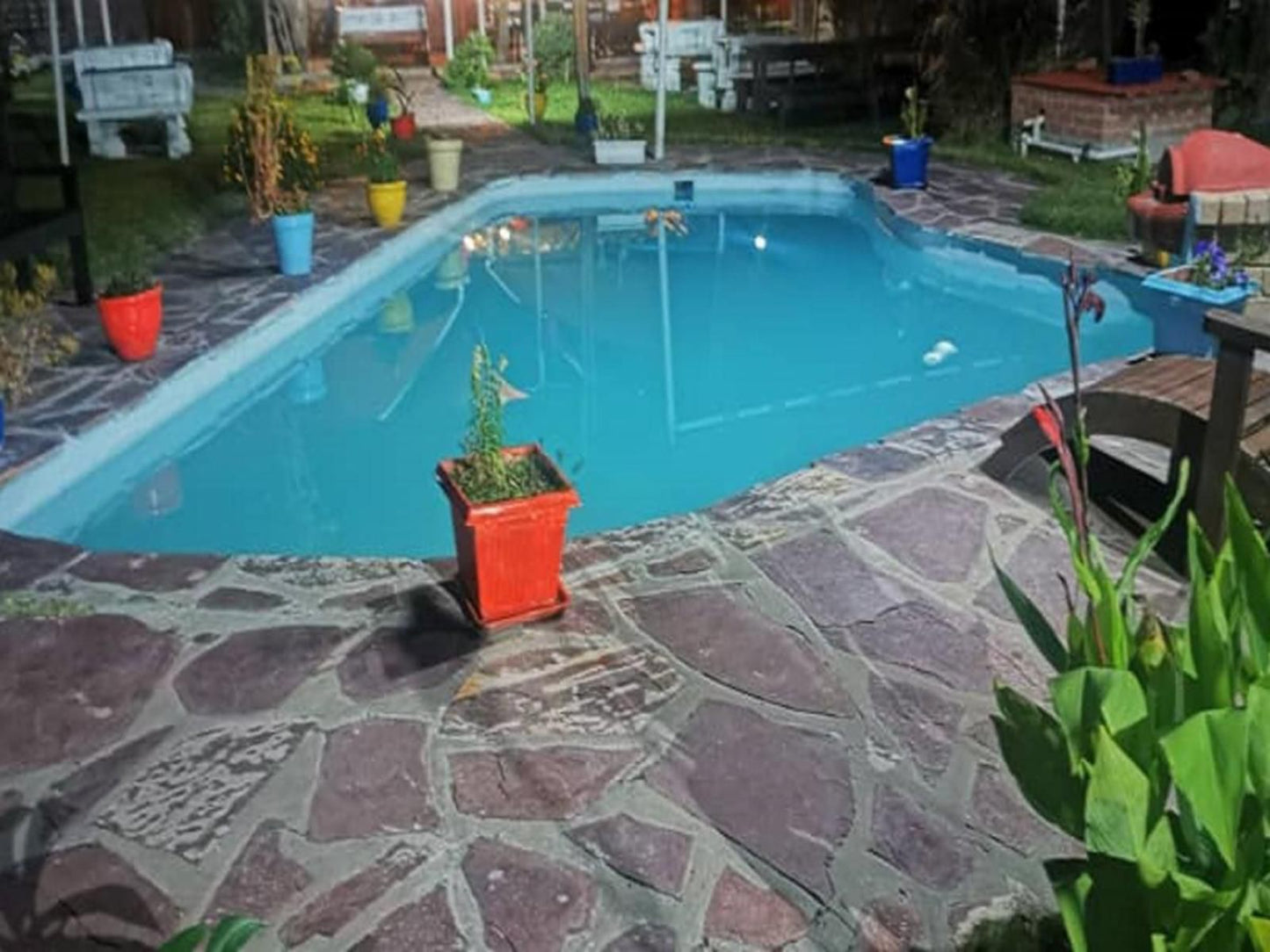 Palmeiras Lodge Oshikango, Garden, Nature, Plant, Swimming Pool