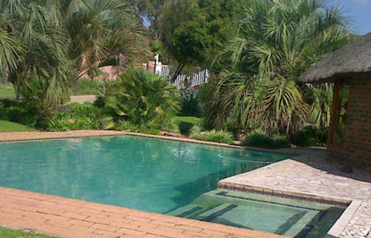 Palmgrove Lodge Glen Austin Johannesburg Gauteng South Africa Palm Tree, Plant, Nature, Wood, Garden, Swimming Pool