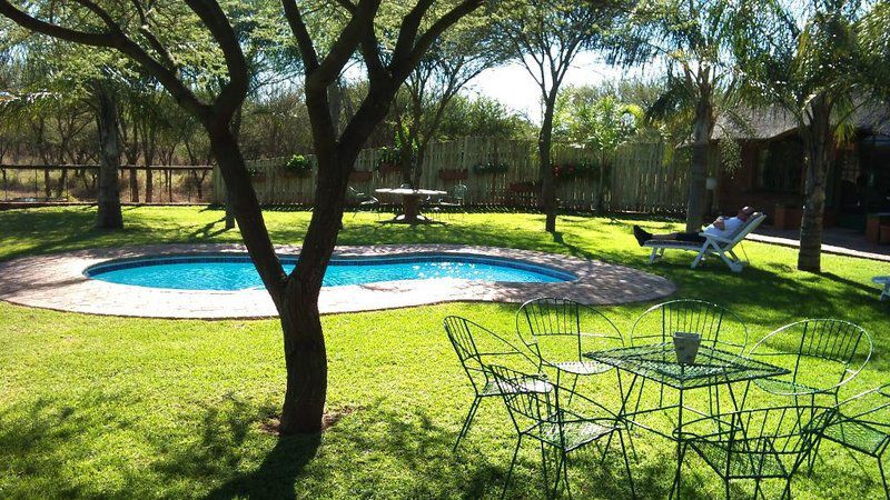 Palm Haven Guest House Makhado Louis Trichardt Limpopo Province South Africa Palm Tree, Plant, Nature, Wood, Garden, Swimming Pool