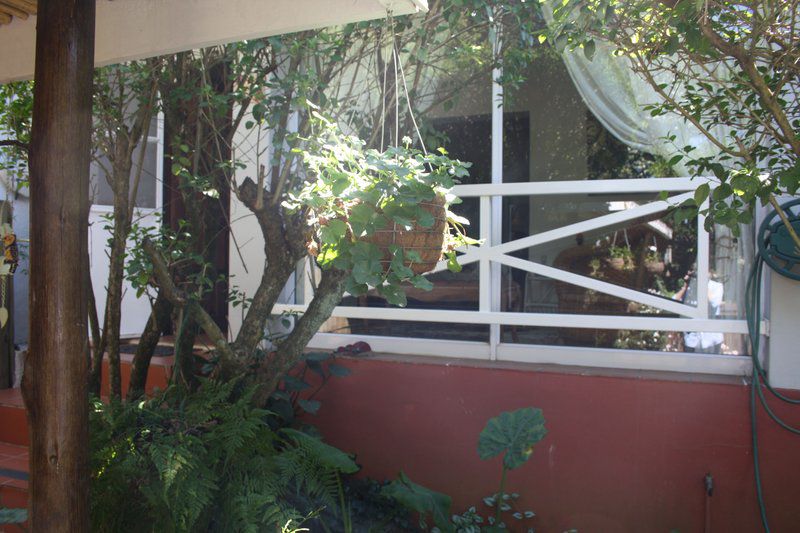 Panda S Guest Cottages Kaapsehoop Mpumalanga South Africa Balcony, Architecture, Plant, Nature